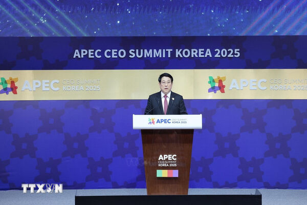 State President addresses APEC CEO Summit Korea 2025