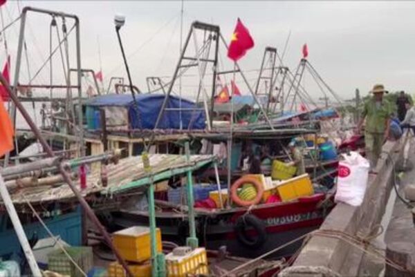 Hai Phong steps up efforts to remove IUU yellow card