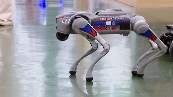 ‘Made-in-Vietnam’ robot dogs excite visitors at Autumn Fair