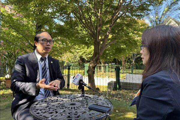 14th National Party Congress drafts highlight role of overseas Vietnamese 