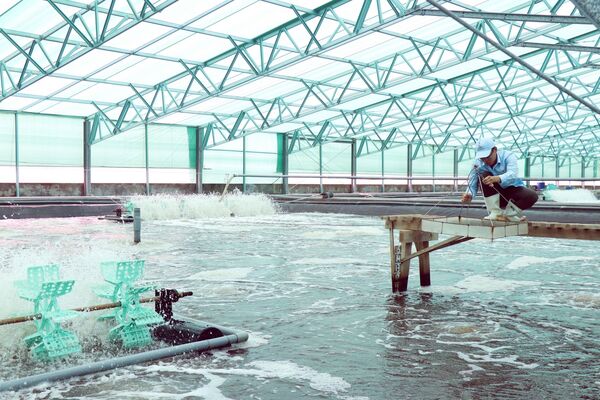 Ho Chi Minh City promotes sustainable aquaculture development