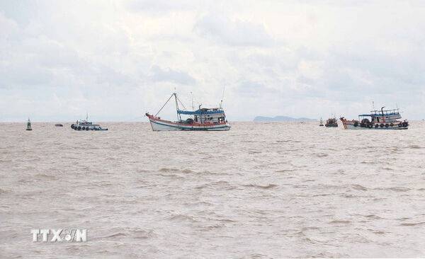 Dong Thap steps up efforts to lift IUU fishing