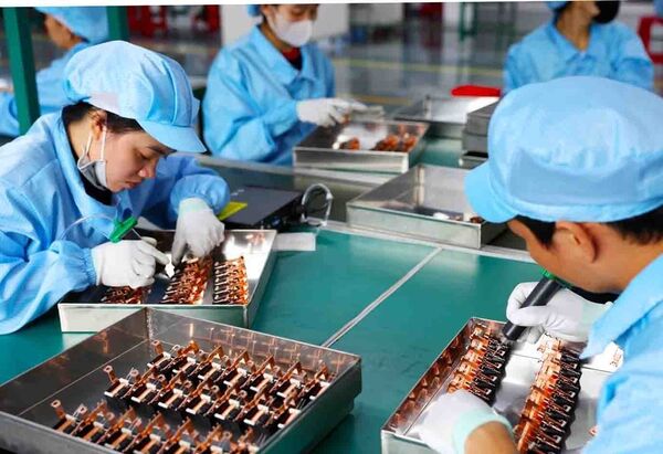 Domestic-foreign business links key to improving FDI quality