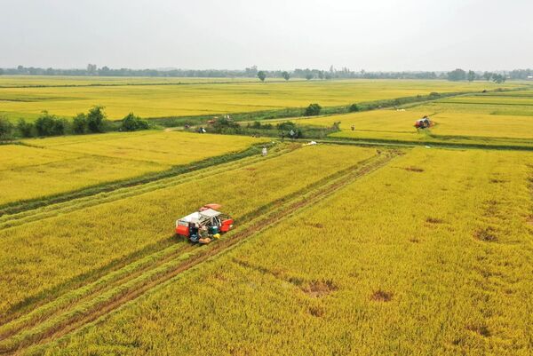 Vietnam’s agricultural sector targets 15% emission cut by 2035