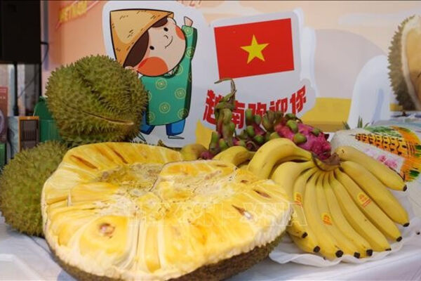 Vietnam promotes products, fruits in China