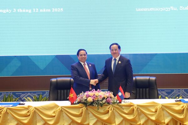 Vietnamese, Lao PMs co-chair 48th Intergovernmental Committee meeting in Vientiane