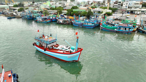 Da Nang ramps up vessel monitoring to curb IUU fishing