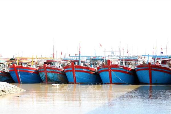 Ninh Binh steps up awareness-raising to combat illegal fishing