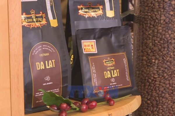 Brewing global stories in Da Lat