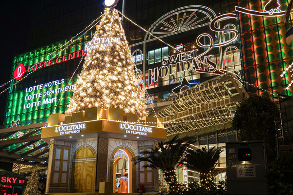 Hanoi’s Christmas trees light up festive season