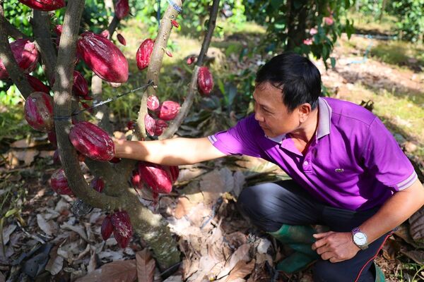 Agriculture targets 74 billion USD in exports in 2026