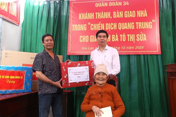 Quang Trung Campaign: Smiles return with new homes in central Vietnam