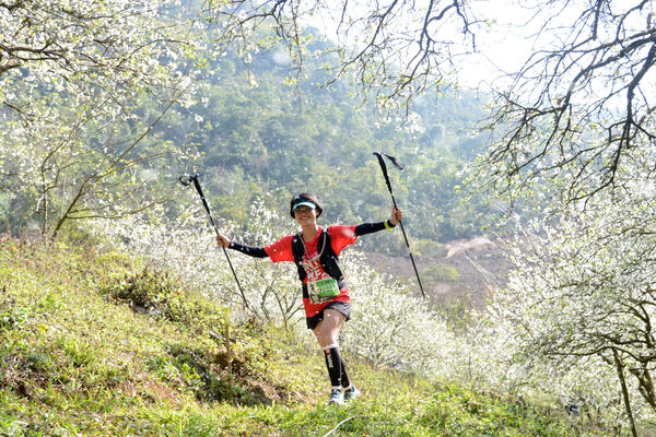 Vietnam Trail Marathon 2026 showcases breathtaking trails of Moc Chau
