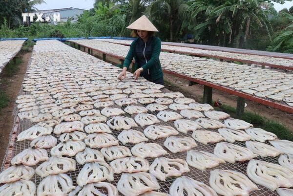 Bustling dry fish village in Dong Thap gears up for Tet