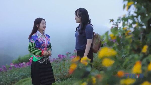 Dien Bien develops green tourism linked to cultural preservation