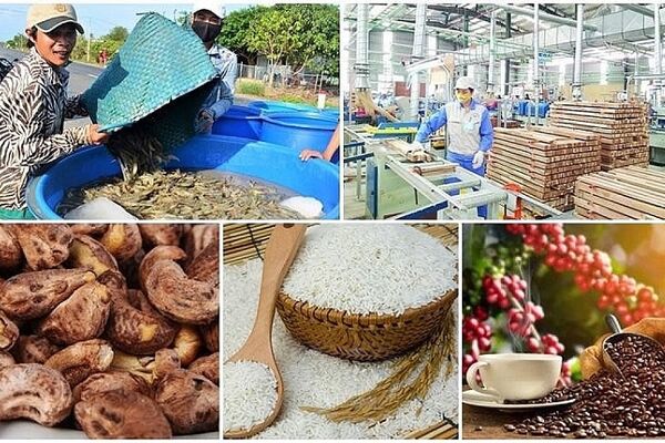 Agro-forestry-aquatic product exports surge nearly 30% in January
