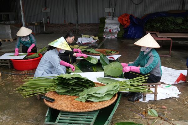 Mesmerising tourism products offered in ancient capital