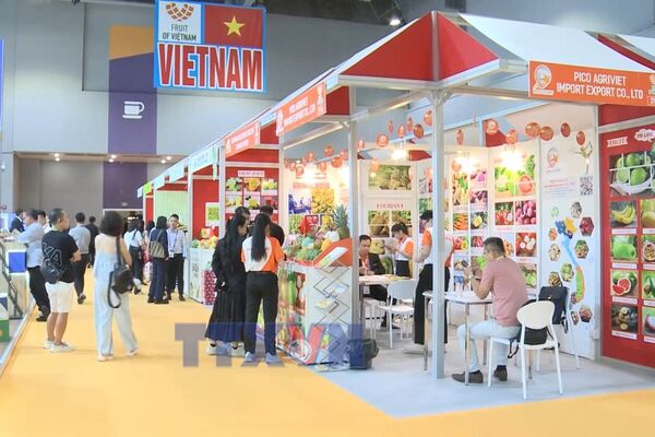 Spring Fair 2026: Hong Kong experience offers insights for Vietnam–Hong Kong trade cooperation