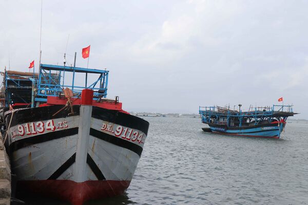Da Nang rolls out new fisheries support policy to tackle IUU fishing