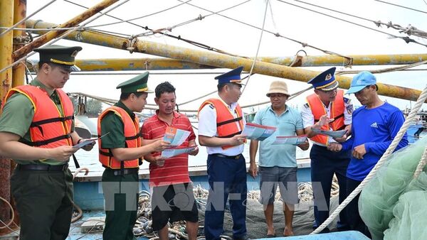 Ho Chi Minh City tightens fleet management, ready to welcome EC inspectors