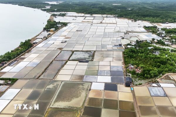 Unique island hamlet in the heart of Ho Chi Minh City