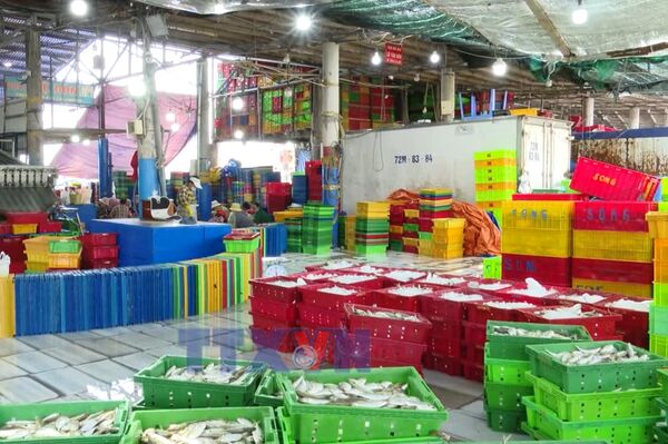 Ho Chi Minh City steps up inspections to combat IUU fishing