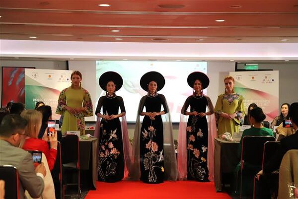 Vietnamese “ao dai” shines on global stage