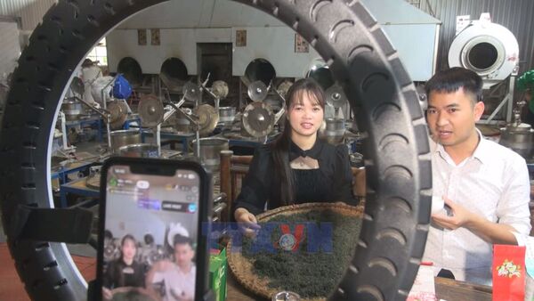 Digital transformation boosts collective economy development