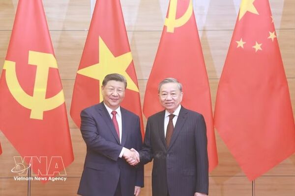 Top Vietnamese leader’s visit to boost bilateral ties: Chinese professor
