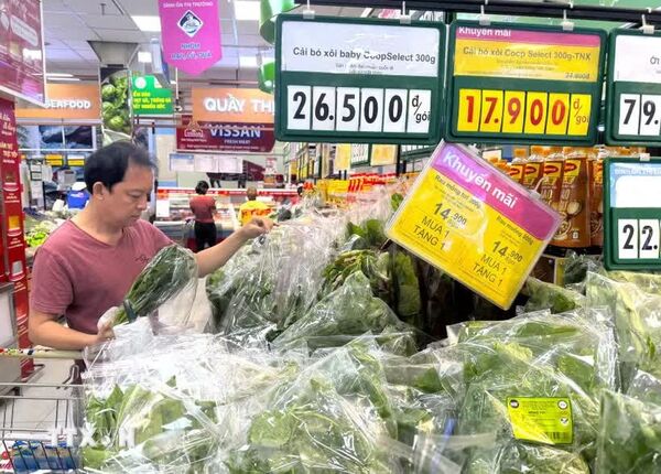 Ho Chi Minh City embraces green consumption trend