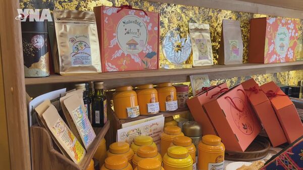 Vietnamese culture showcased in Paris
