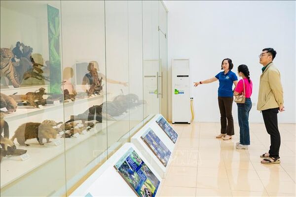 Cuc Phuong Museum promotes nature conservation awareness