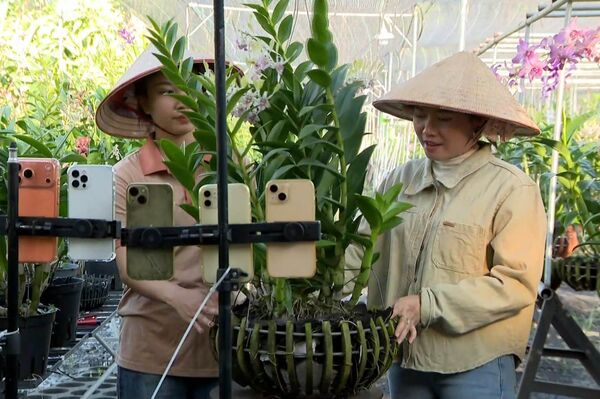 Khmer farmer successful with orchid farm