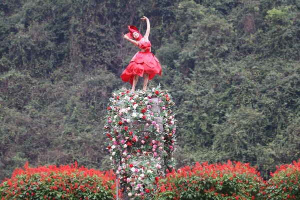 Ninh Binh captivates visitors with heritage flower seasons