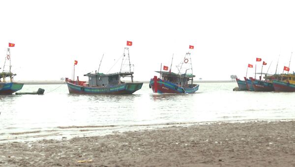 Ninh Binh strengthens aquatic resource protection