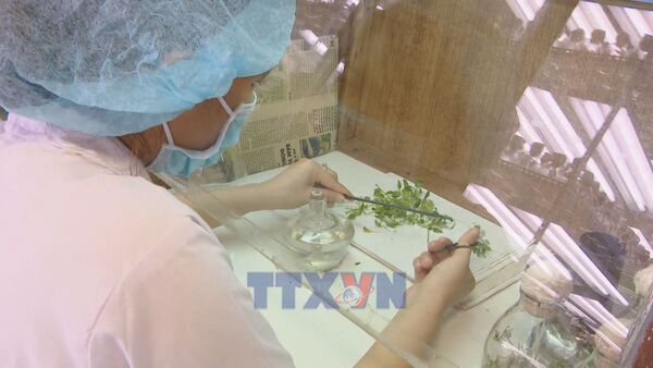 Vietnam targets research capacity in world’s top 5%