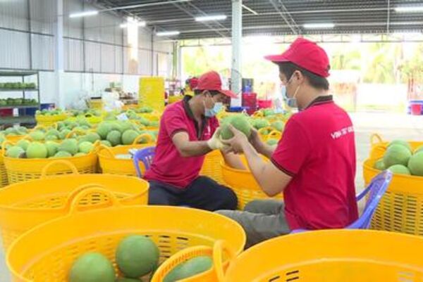 Production-market linkages – Key to sustainable agricultural production