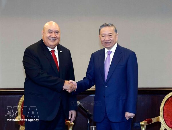 Top Vietnamese leader meets Philippines-based organisations, businesses