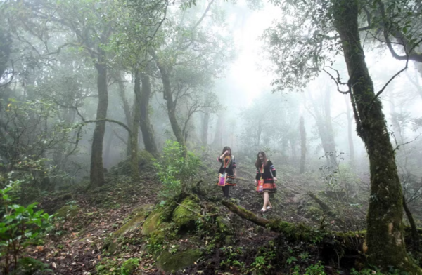 Lai Chau showcases potential for adventure tourism