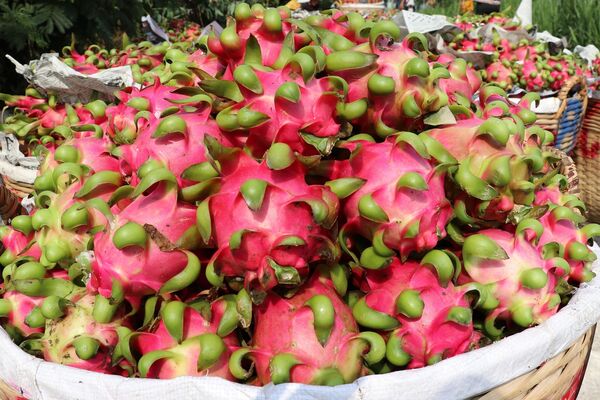Agro-forestry-aquatic product exports up over 9% in first five months