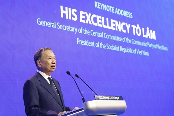 Vietnam sees regional cooperation as foundation of broader international strategy: Thai scholar