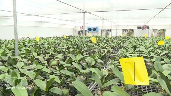 Thanh Hoa farmers embrace digital transformation