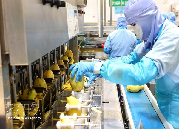 Farmers shift toward organic, sustainable production
