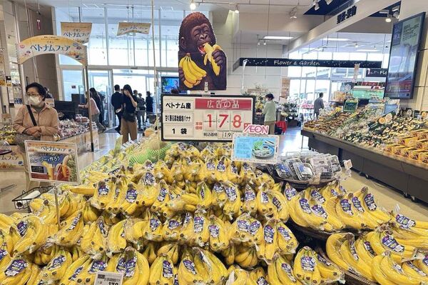 Vietnamese products promoted at AEON stores across Japan