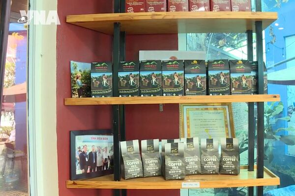 Dien Bien holds potential for specialty coffee