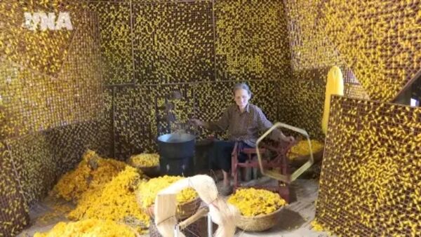 Preserving traditional craft heritage through tourism development