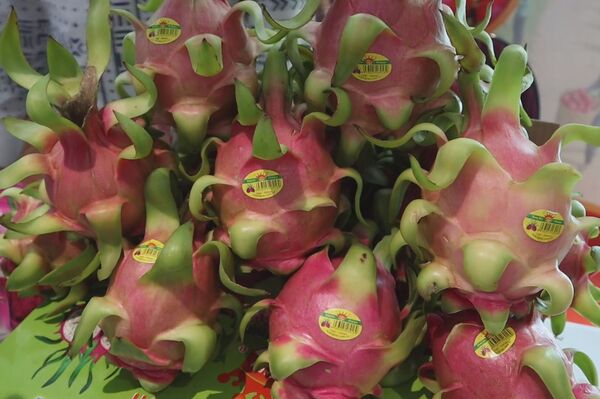 Vietnamese farm produce strengthens foothold in China
