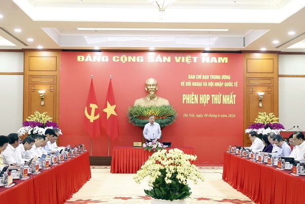 Foreign affairs should better serve national development: Top leader