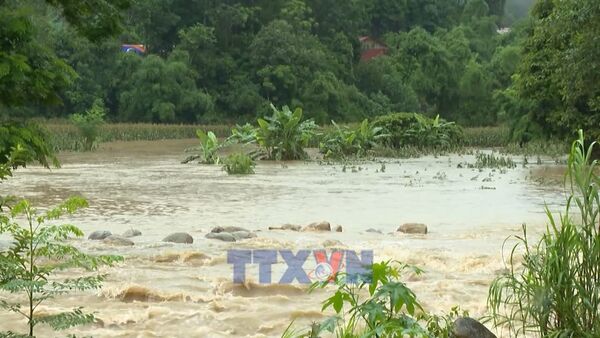 Lai Chau ramps up efforts to minimise flood losses