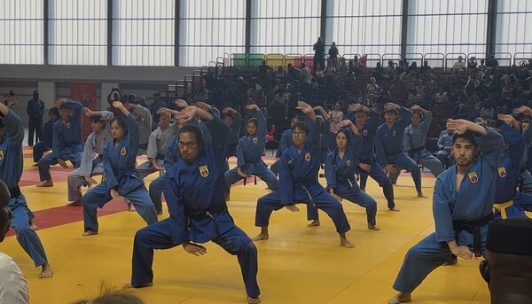 7th Vovinam World Championship promotes Vietnamese martial art in Paris